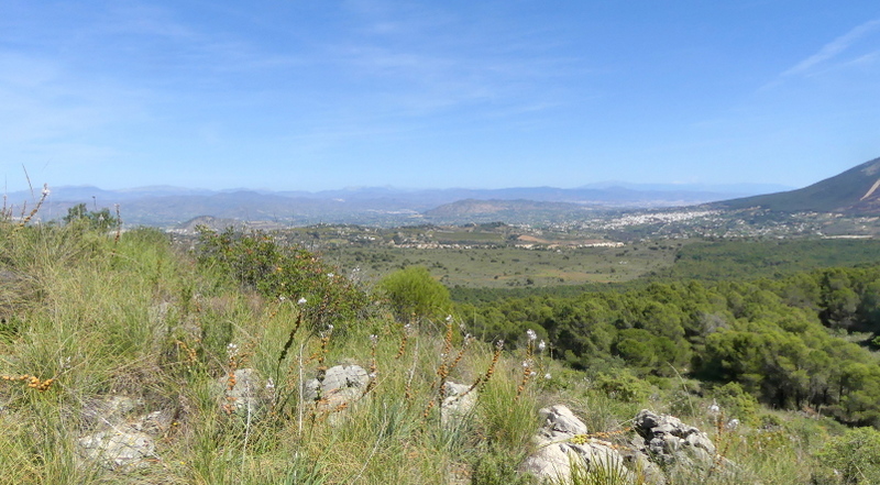 Andalusia: le orchidee e Grandi Pietre  marzo-aprile 2023.